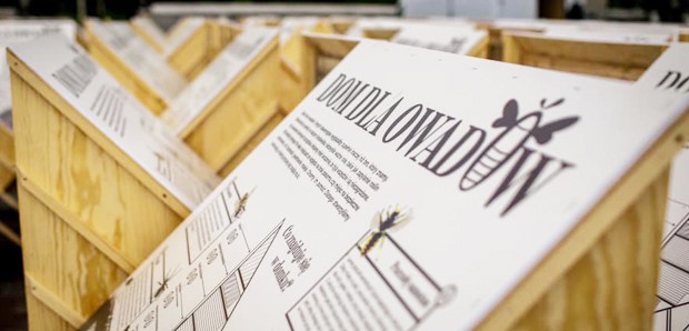 Budujemy również dla… owadów