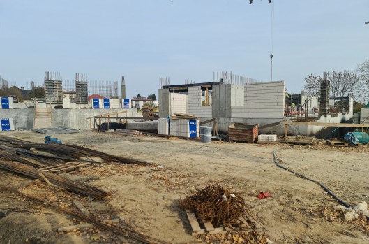 Idea Leo - postęp prac