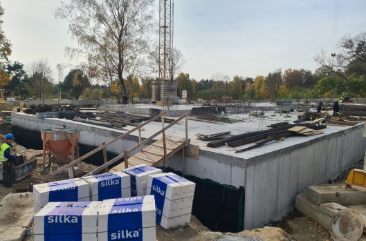 Idea Leo - postęp prac