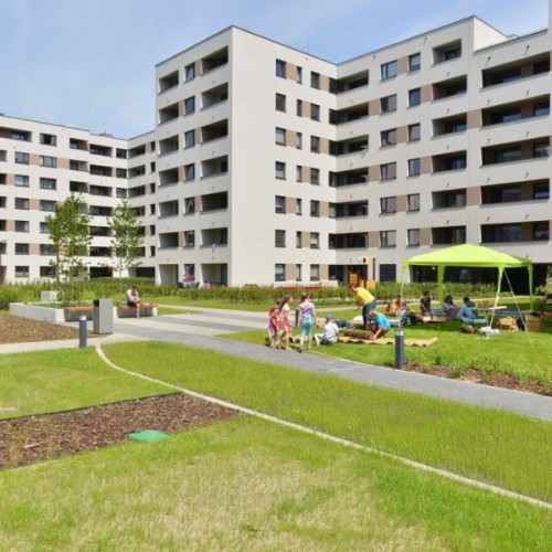 Działaj ekoPOZYTYWNIE 11