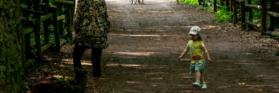 Las Bielański - ścieżka