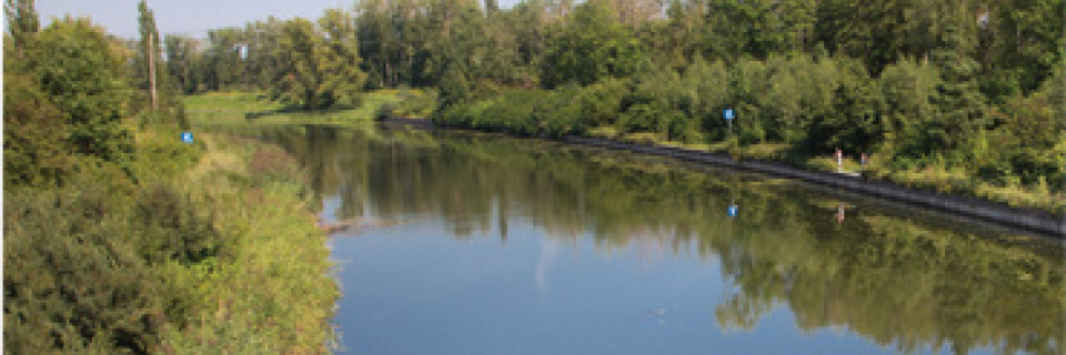 Najbliższe otoczenie 8